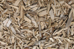 biomass boilers Rhosneigr